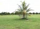 a fazenda