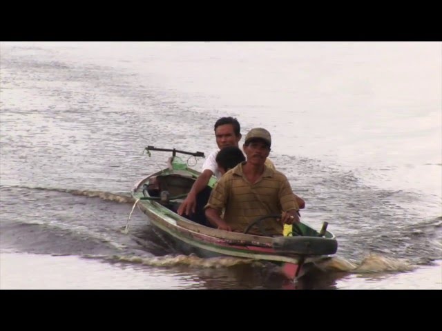 Implementasi REDD+ di Indonesia