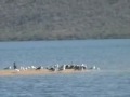 LA PLAYITA., BAHIA DE NAVACHISTE, SINALOA