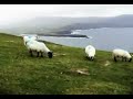 ENYA  EIRE/ IRLANDE