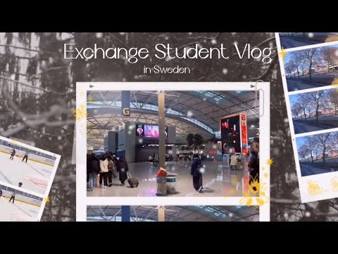 23-1 파견 교환학생 브이로그 (스웨덴 Halmstad University)