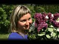 Karpowicz Family - W maju cudnie pachnie bez