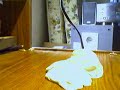 Clay Fight