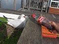 Torture the seagull