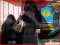http://www.youtube.com/v/7nGa1ntj1Yo&feature=player_embedded