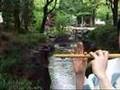 千芽々の篠笛日記~宵待草~