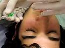 Septum by Shay,JOVINO DRAGON TATTOO Septum by Shay,JOVINO DRAGON TATTOO