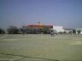 CARDENALES VS CENTRAL DE SERVICIOS SNTSS SECCION II