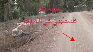 قرية لوبية المهجرة 2019 lubya قرية لوبية المهجرة 2019 lubya