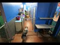 timelapse feed2