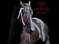 Friesians Friesians