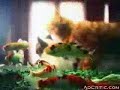 ke gatti!!! salviamoli!!!!! ke gatti!!! salviamoli!!!!!