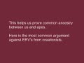 Endogenous Retroviruses: Explained!