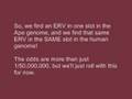 Endogenous Retroviruses: Explained!