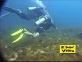 Mergulho em Fernando de Noronha Mergulho em Fernando de Noronha