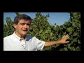 Malbec Yauquén