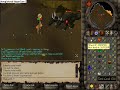 KBD Solo Trip