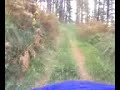 yamaha wolverine 450