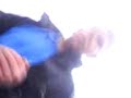Shayne v Galliga Kasky