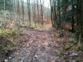 upstate 2