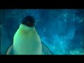 Happy Feet  - Happy Feet - Flixster Video