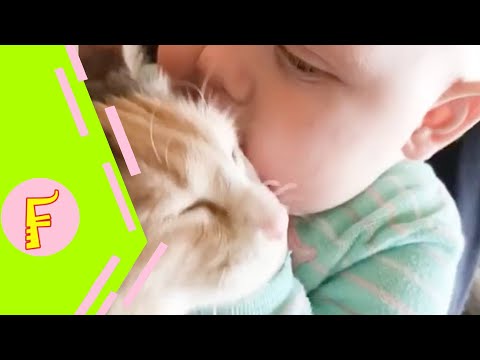 Play this video Baby and Cat Fun and Cute - Funny Baby Video
