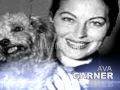 DOG DAY 2007 Celebrities Pets Benefit Art Event