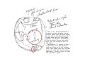 The JFK assassination - the final shots The JFK assassination - the final shots