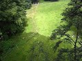 Forest jump Forest jump