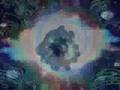 elgeko audiovisual symbiosis traktoractivity