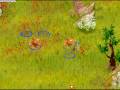 videos de yoyoleboos xelor air lvl 113