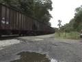 CSX/AVR Coal Train