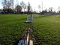 Sunny flyball
