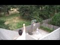2009-07-20 | basketball trick shots ~> salem oregon basketball (3:30)