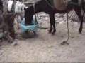 Alhoceima City Videos 6 Temsamane