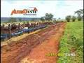 Confinamento Bovino Cattle Feedlot Nutroeste Nutrição Animal