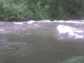 videos kayak