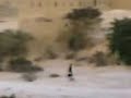 صوت مغني  ومقطع فيديو لجور ال جبهه في وادي دهر