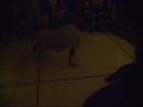 semi finals