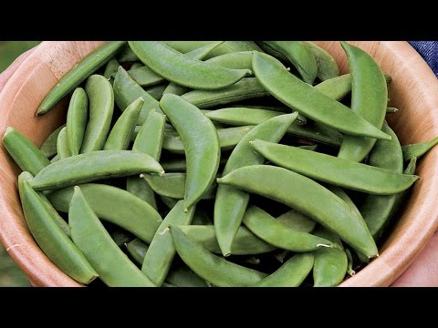 video-linktoworks-How to Plant and Grow Peas