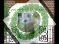 videos de JOYEUSE FETES JOHN DE GERALDINE
