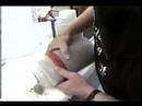 Echinacea 4HFX