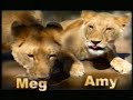 Dangerous Companions