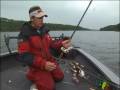Patterning Musky