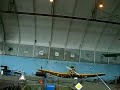BUMP flying with swallows