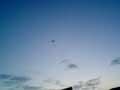 flyging