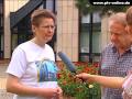Bild 1 aus dem Beitrag