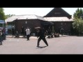 Ba Gua Qigong Demonstration (1 of 3) Ba Gua Qigong Demonstration (1 of 3)