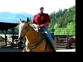 Wrangler Shows How to Ride a Horse Wrangler Shows How to Ride a Horse