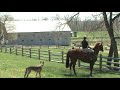 Lear Charm Schooling 3